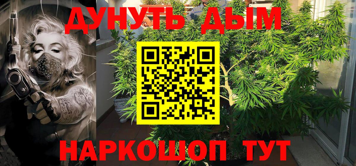 Конопля AK-47  Бошки Шишки OG Kush  Реж  Каннабис гибрид  Вход с VPN 